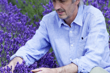 Besonders beim Echten Lavendel gibt es unzählige Violett- und Lilatöne. Zu dieser Vielfalt entscheidend beigetragen hat der englische Lavendelzüchter Simon Charlesworth. (Foto: GPP/Downderry)